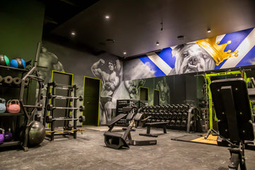 ELEVATE YOUR GYM EXPERIENCE WITH PROFESSIONAL COMMERCIAL GYM FITOUTS | Premier Fitness Supply
