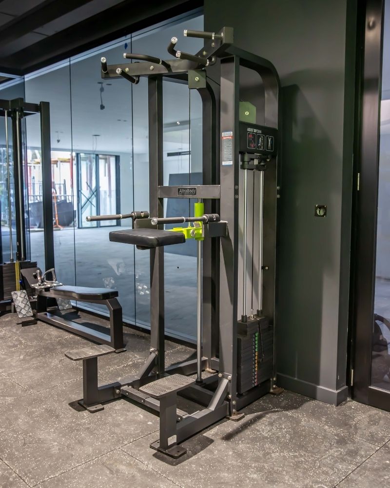 Assisted Chin/Dip - AltraBody® HeavySet Series [Pin-Loaded] - Premier Fitness Supply