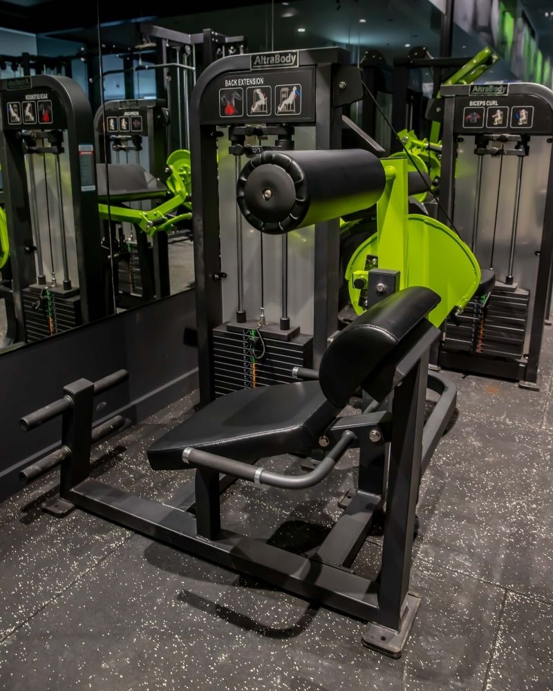 Back Extension - AltraBody® HeavySet Series [Pin-Loaded] - Premier Fitness Supply