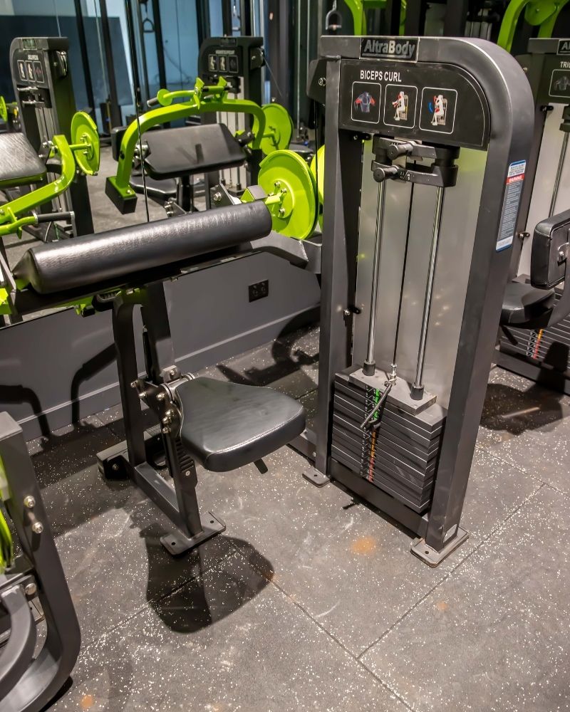 Biceps Curl - AltraBody® HeavySet Series [Pin-Loaded] - Premier Fitness Supply