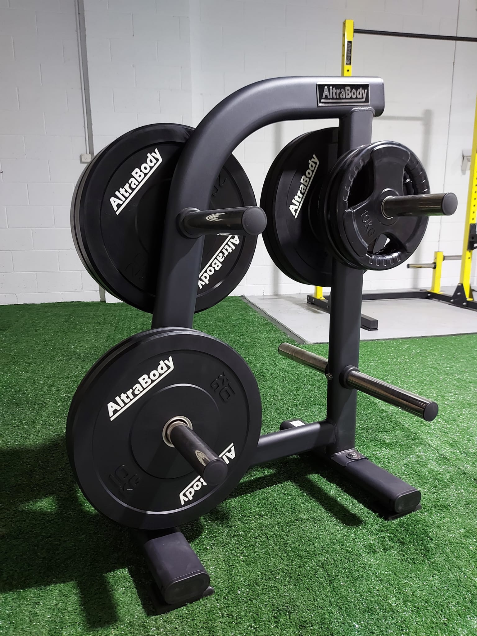 Deluxe Weight Plate Tree - AltraBody® Triumph Series - Premier Fitness Supply